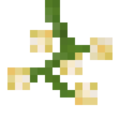Thumbnail for version as of 05:41, 16 December 2023