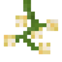 Torchberry Plant.png