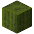 Thumbnail for version as of 13:46, 21 April 2024
