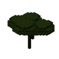 Darkwood Tree.png