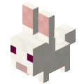 Dwarf Rabbit.gif