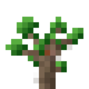 Sickly Twilight Oak Sapling.png