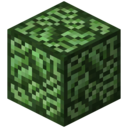 Block of Steeleaf.png