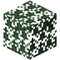 Canopy Tree Leaves.png