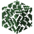 Thorn Leaves.png