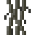 Thumbnail for version as of 05:40, 16 December 2023