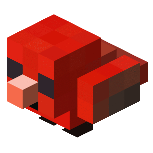 File:Tiny Bird.gif
