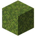 Moss.png