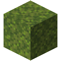 Mossy.gif