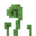 Thumbnail for version as of 05:54, 16 December 2023