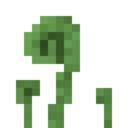 Fiddlehead.png