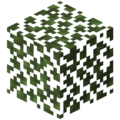 Mangrove Leaves.png