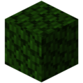 Darkwood Leaves.png