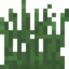 Forest Grass.png