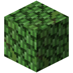 Hedge.png