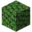 Hedge.png