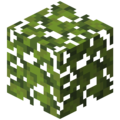 Beanstalk Leaves.png
