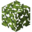 Beanstalk Leaves.png