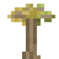 Thumbnail for version as of 05:39, 16 December 2023