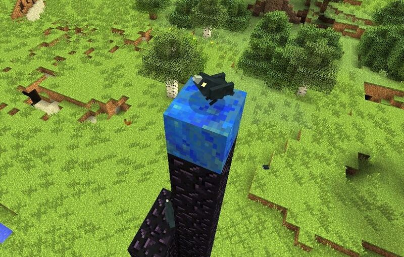File:Beta Raven.jpg