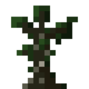 Canopy Tree Sapling.png