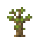 Sorting Tree Sapling.png