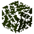 Sorting Leaves.png