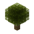 Sorting Tree.png