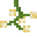 Thumbnail for version as of 07:09, 29 October 2017