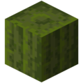 Thumbnail for version as of 16:34, 6 December 2023