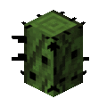 Thumbnail for version as of 07:00, 13 March 2024