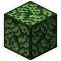 Thumbnail for version as of 07:06, 19 October 2017