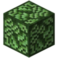 Thumbnail for version as of 16:31, 6 December 2023