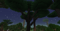 Thumbnail for version as of 21:07, 24 September 2014