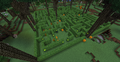 Thumbnail for version as of 23:30, 14 November 2017