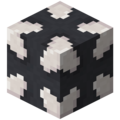 Thumbnail for version as of 06:24, 7 December 2023