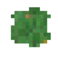 Thumbnail for version as of 05:46, 29 October 2017