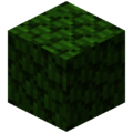 Thumbnail for version as of 19:42, 20 October 2017