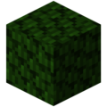 Thumbnail for version as of 06:54, 7 December 2023