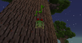 Thumbnail for version as of 21:07, 24 September 2014