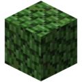 Thumbnail for version as of 03:12, 21 October 2017