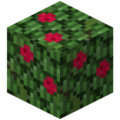 Thumbnail for version as of 06:43, 7 December 2023
