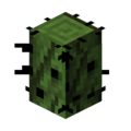 Thumbnail for version as of 07:25, 7 December 2023