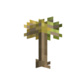 Thumbnail for version as of 07:00, 7 December 2023