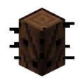 Thumbnail for version as of 05:34, 25 October 2017