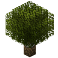 Thumbnail for version as of 14:26, 3 January 2024