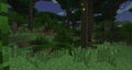 Thumbnail for version as of 14:48, 13 October 2014