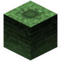 Thumbnail for version as of 05:31, 25 October 2017
