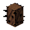 Thumbnail for version as of 16:13, 17 December 2023