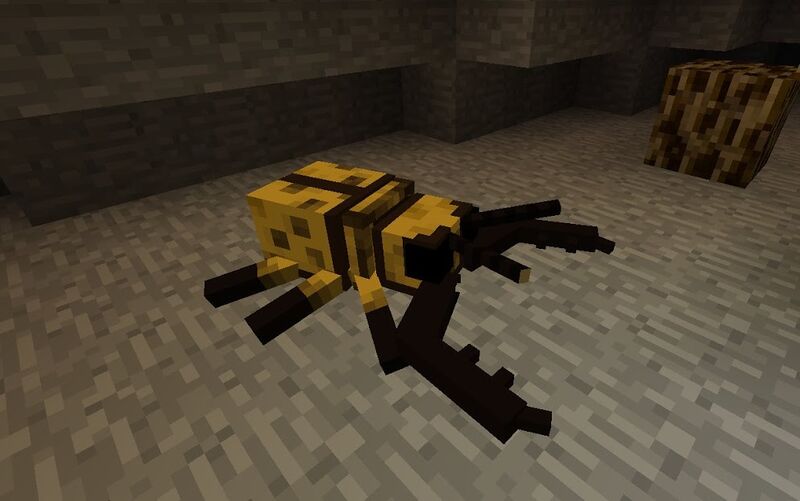 File:Beta Pinch Beetle.jpg